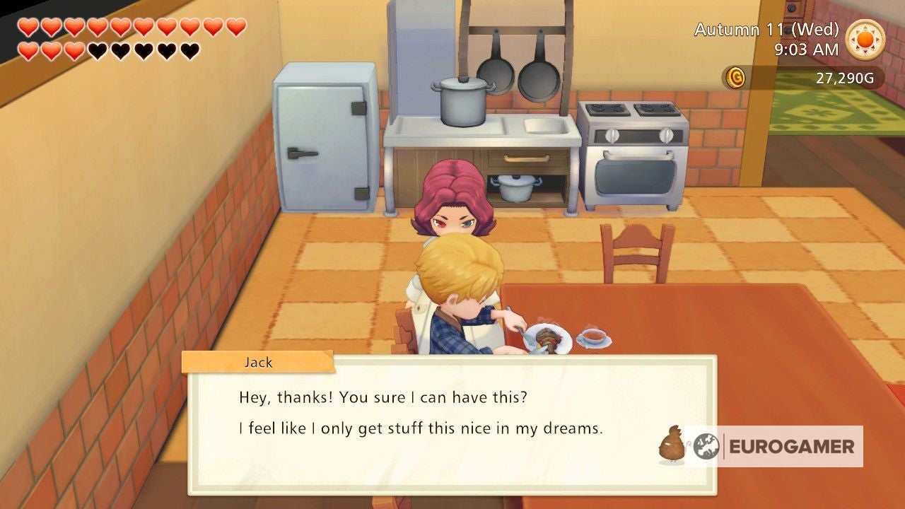 Story of Seasons Gift Giving  Universally liked gifts and preferred gifts for every character in Pioneers of Olive Town explained - 35