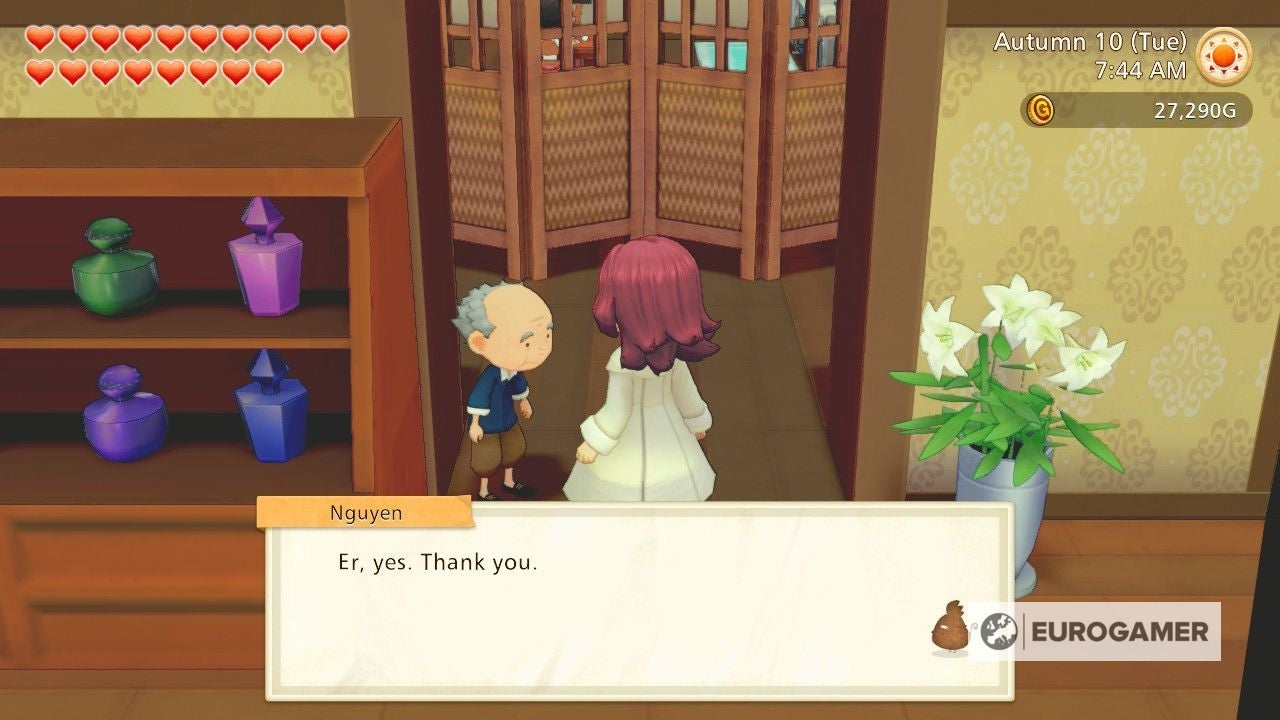 Story of Seasons Gift Giving  Universally liked gifts and preferred gifts for every character in Pioneers of Olive Town explained - 92