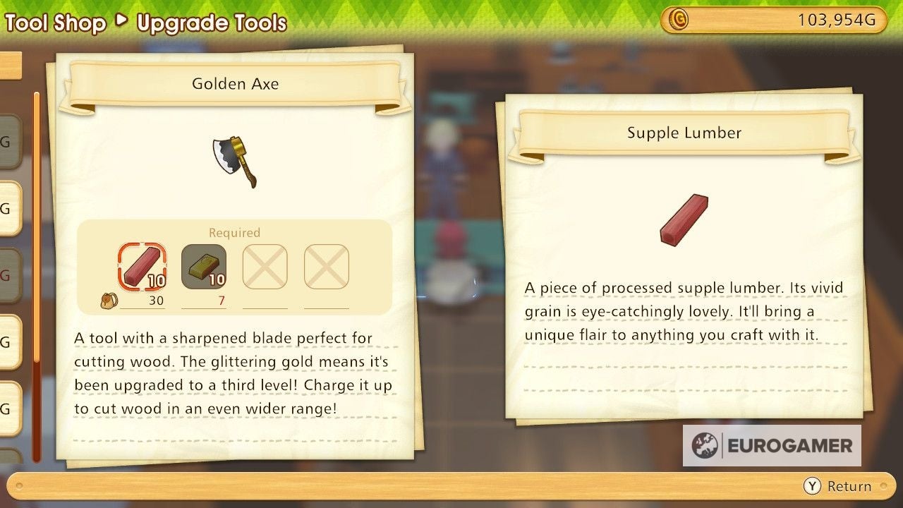 Story of Seasons Tools  How to get the Bucket  Camera  Fishing Rod and Leash in Pioneers of Olive Town - 42