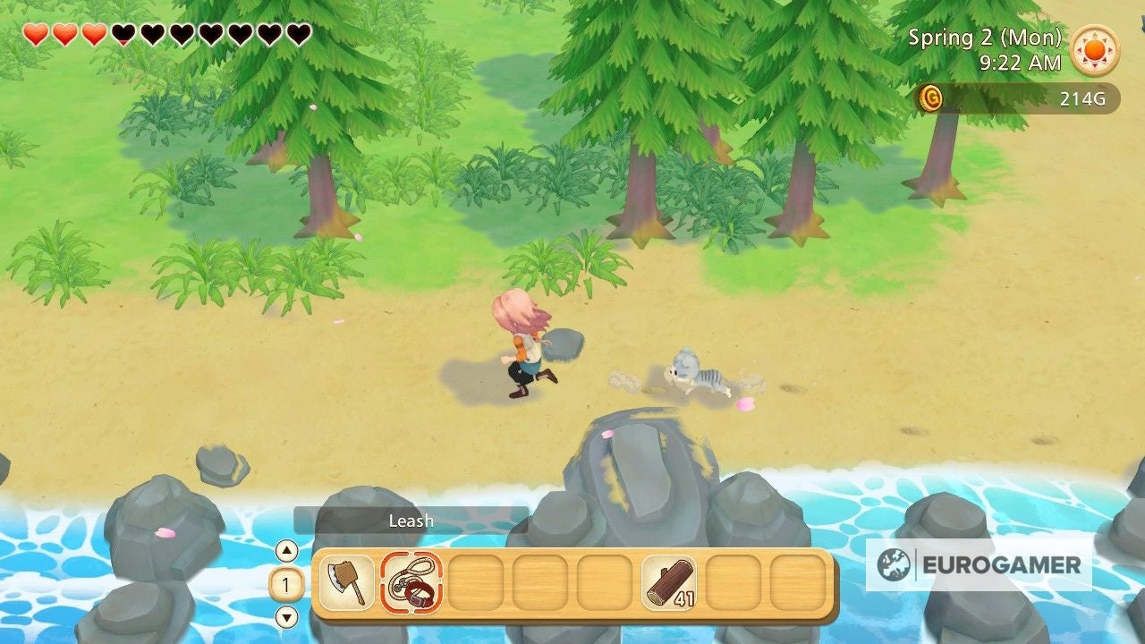 Story of Seasons Tools  How to get the Bucket  Camera  Fishing Rod and Leash in Pioneers of Olive Town - 95