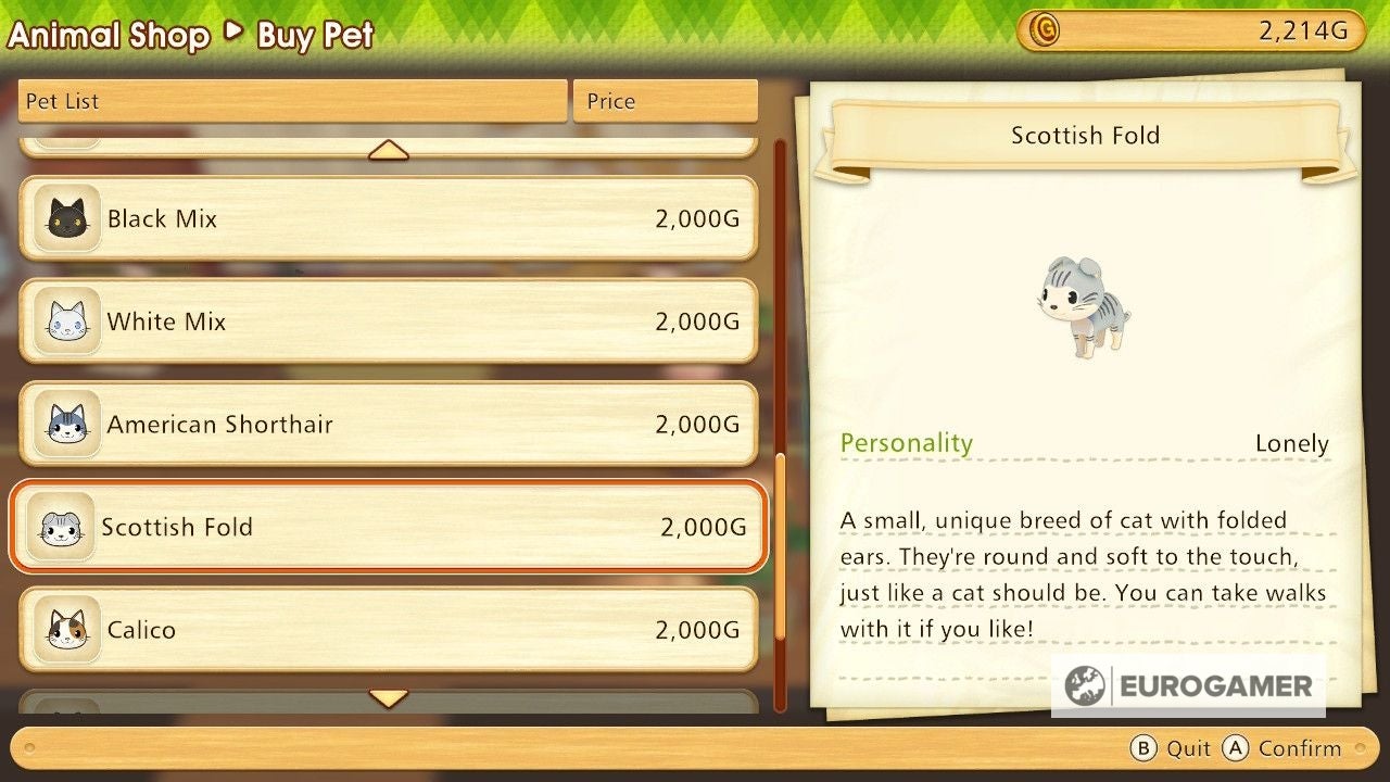 Story of Seasons Tools  How to get the Bucket  Camera  Fishing Rod and Leash in Pioneers of Olive Town - 68