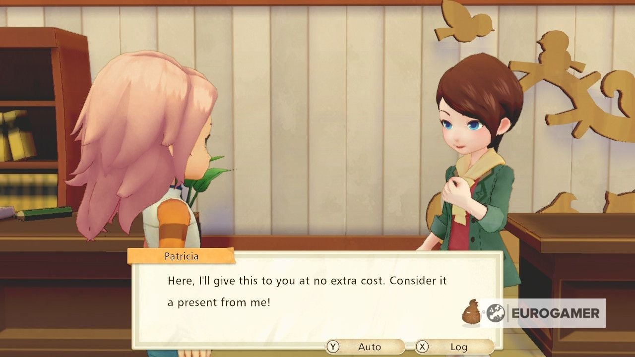 Story of Seasons Tools  How to get the Bucket  Camera  Fishing Rod and Leash in Pioneers of Olive Town - 59