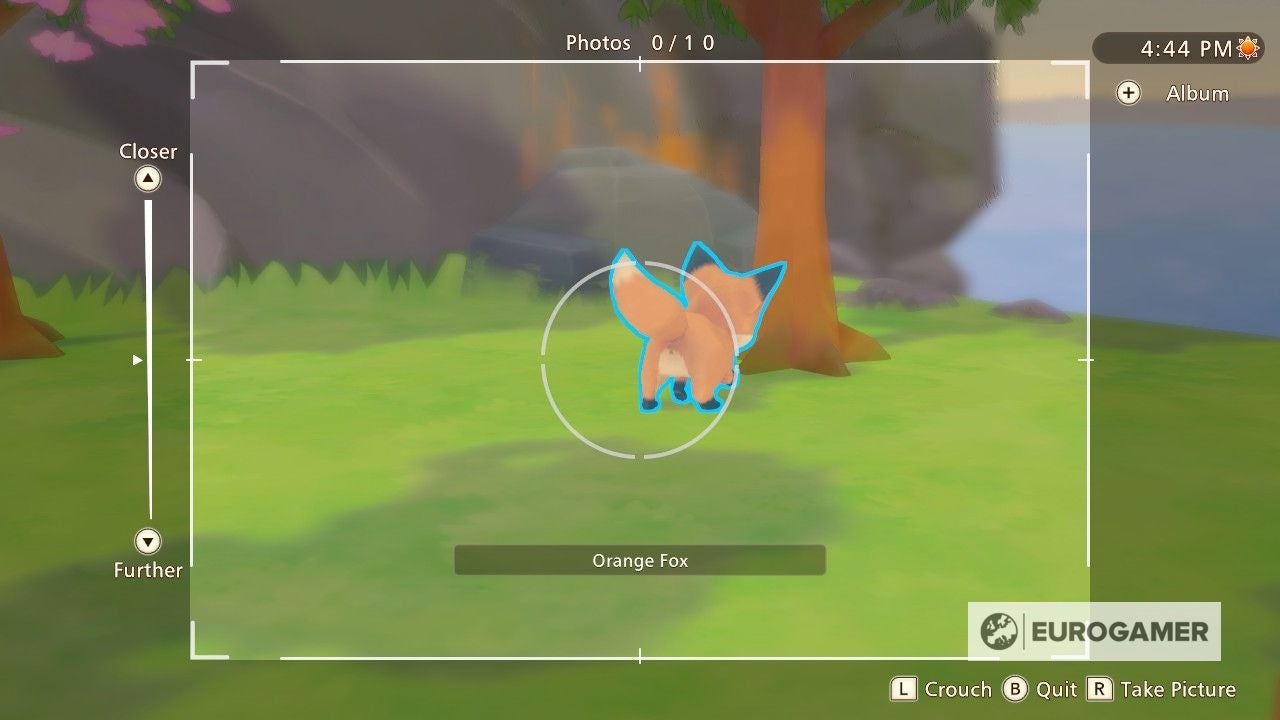 Story of Seasons Tools  How to get the Bucket  Camera  Fishing Rod and Leash in Pioneers of Olive Town - 51
