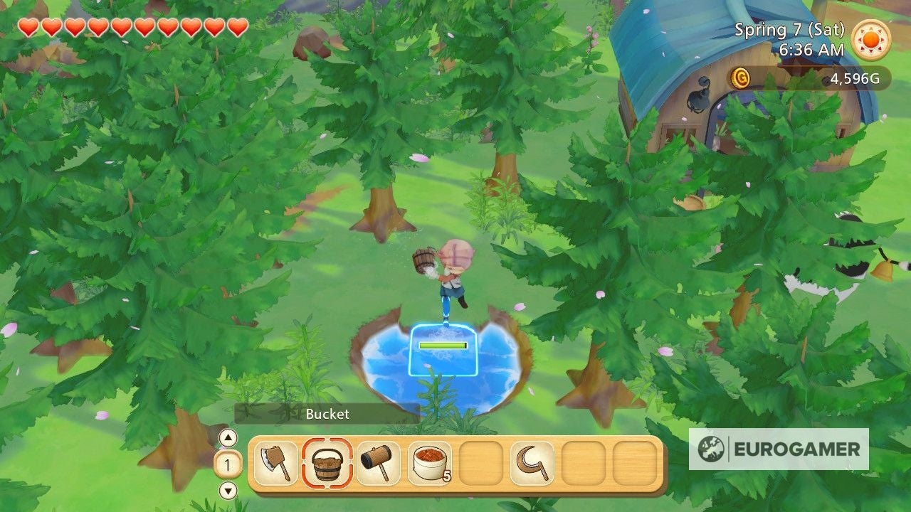 Story of Seasons Tools  How to get the Bucket  Camera  Fishing Rod and Leash in Pioneers of Olive Town - 1