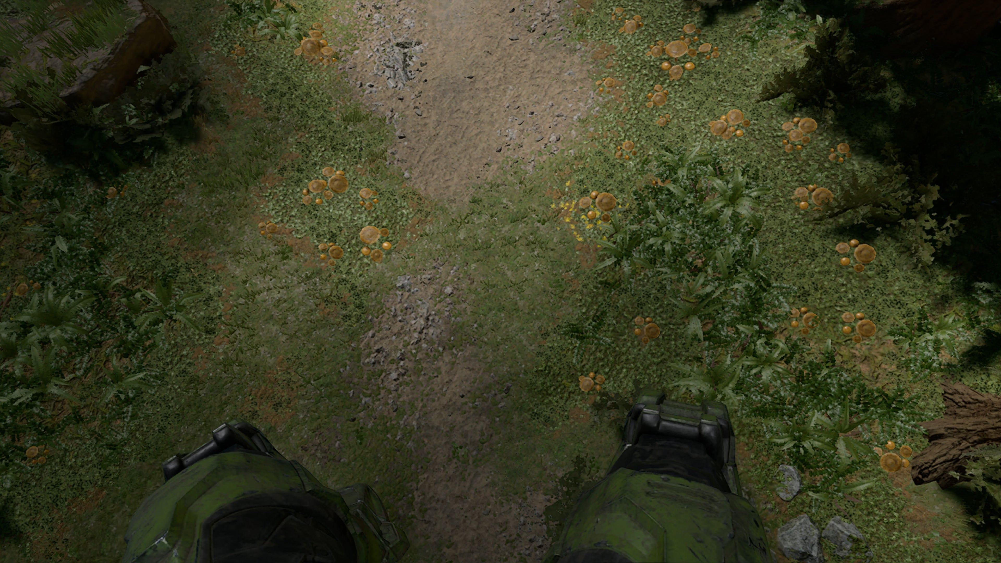 Halo Infinite campaign  the Digital Foundry analysis - 55