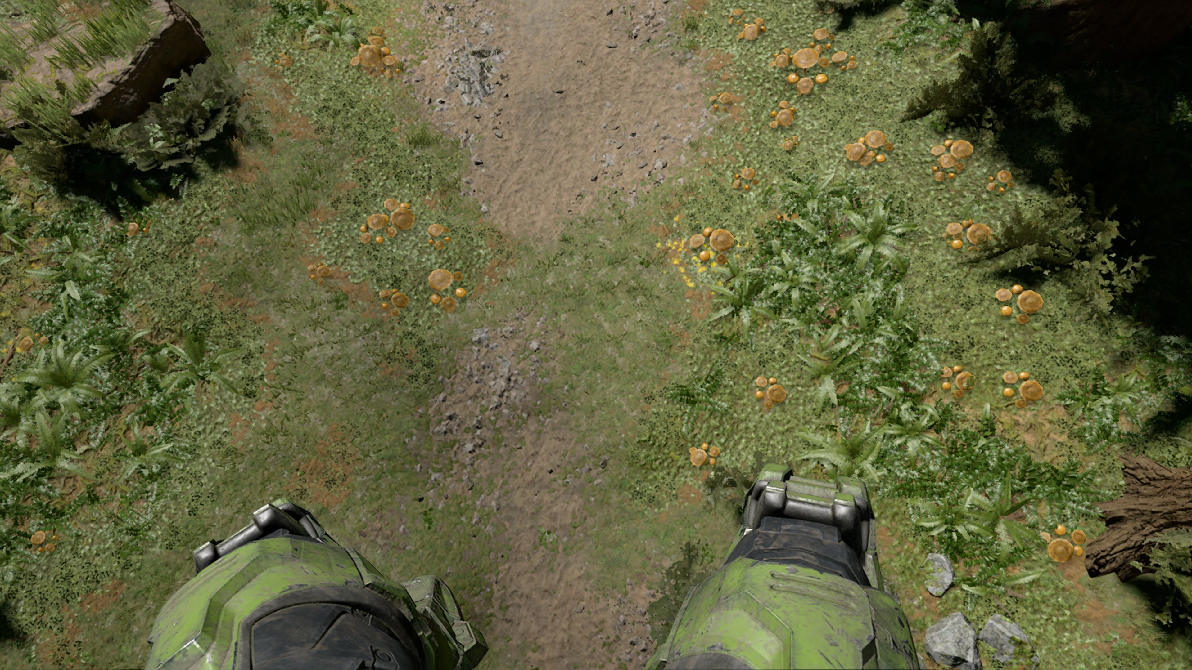 Halo Infinite campaign  the Digital Foundry analysis - 73