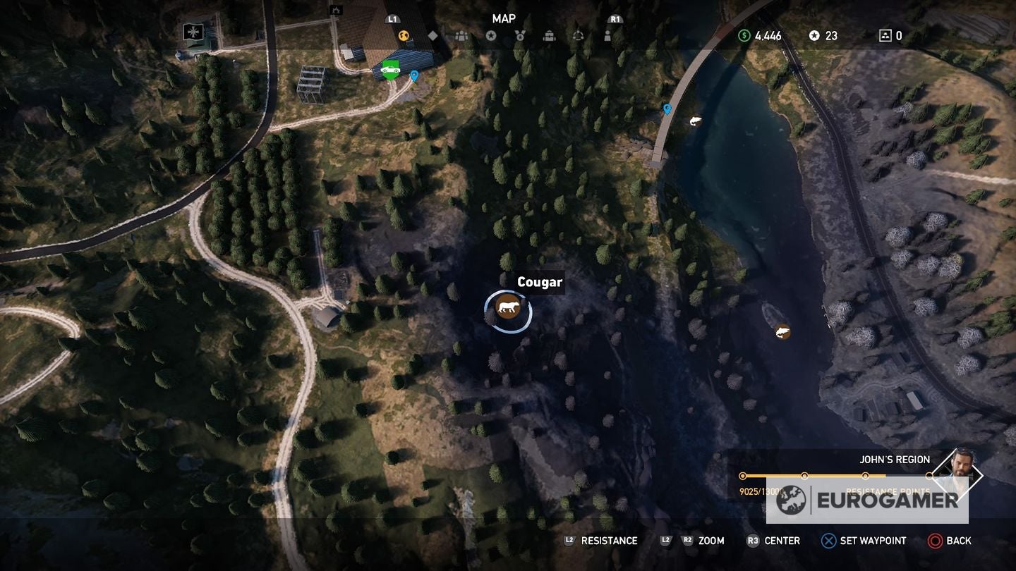 шкура черного медведя far cry 5 регион веры. где найти медведей far cry 5. фар край 5 гризли на карте. черный медведь far cry 5. чёрный медведь фар край 5 на карте.