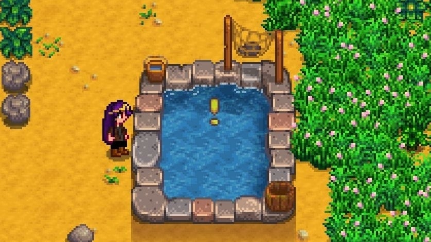 Stardew Valley Ponds - best products and best fish for ponds, and pond capacity quests explained | Eurogamer.net