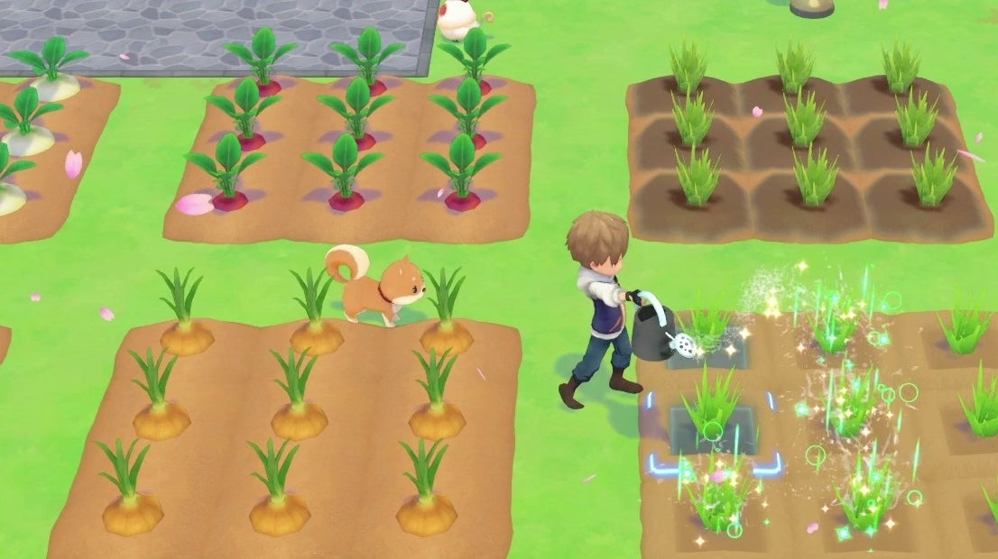 Story Of Seasons Pioneers Of Olive Town Heading To Steam In September Eurogamer Net
