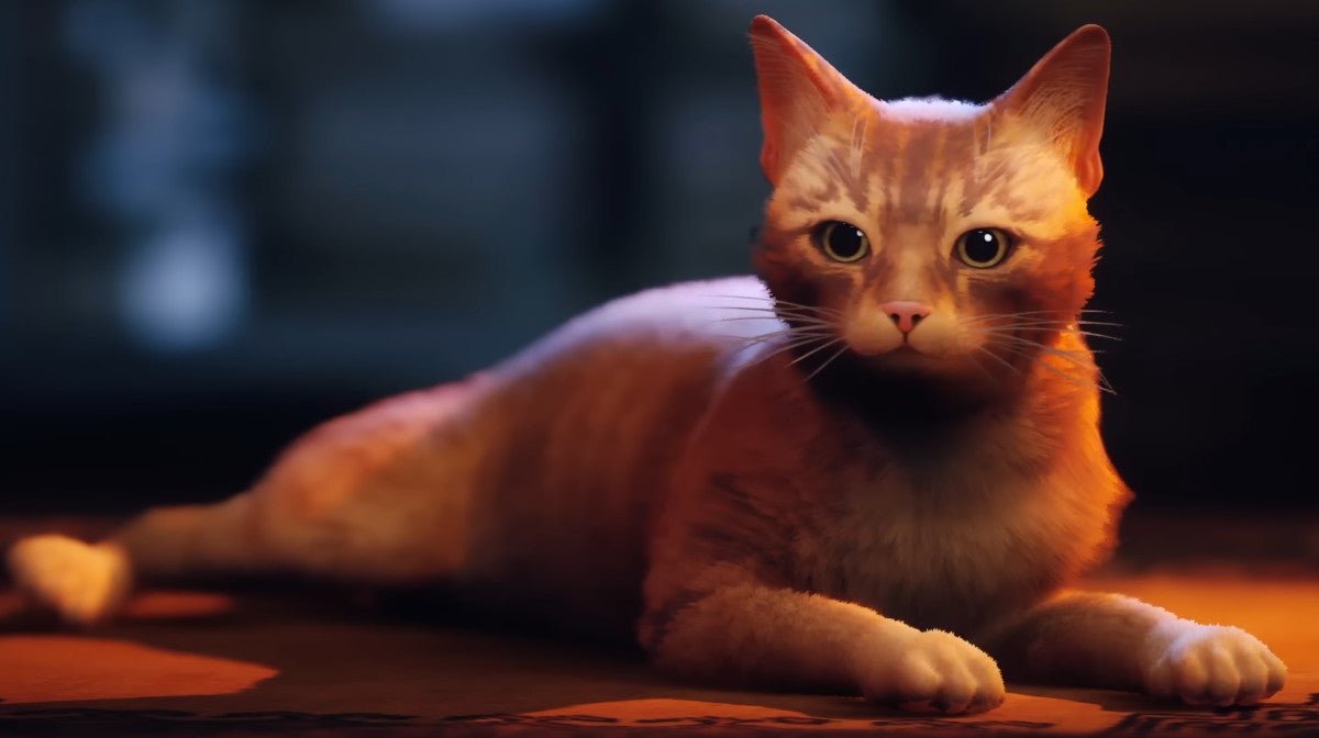 Obrazki dla Najbardziej wyczekiwanym tytułem na Steamie jest gra o kocie