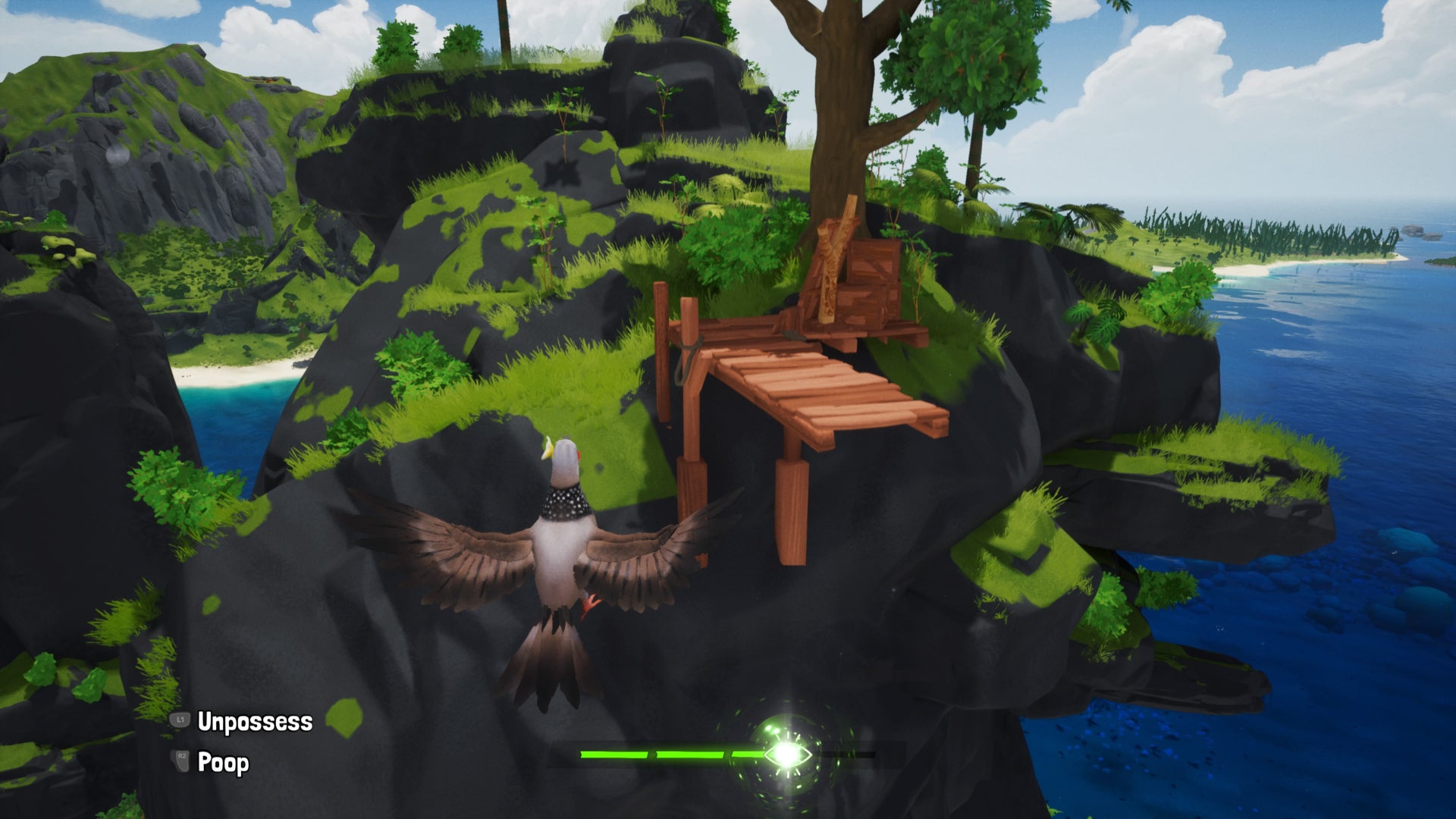 diving board chia diving challenge
