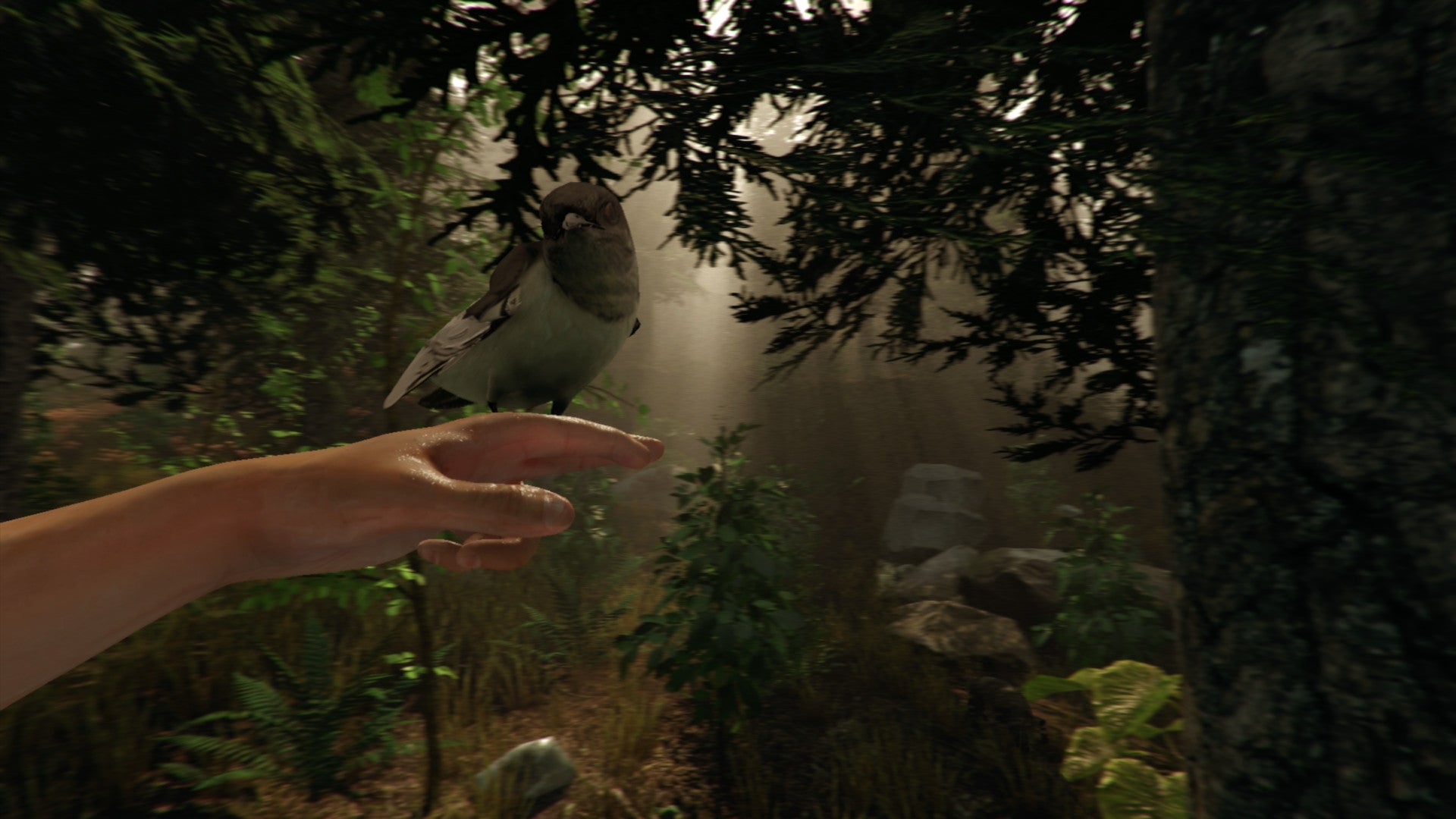 Obrazki dla Horror The Forest z rozgrywką w kooperacji dla dwóch graczy