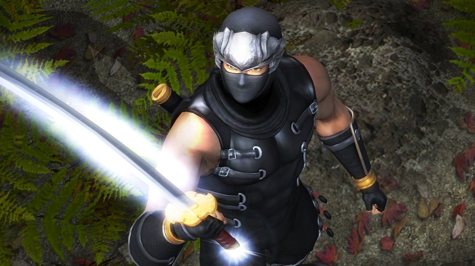 The Ninja Gaiden Master Collection PC port now has some graphics options |  Eurogamer.net
