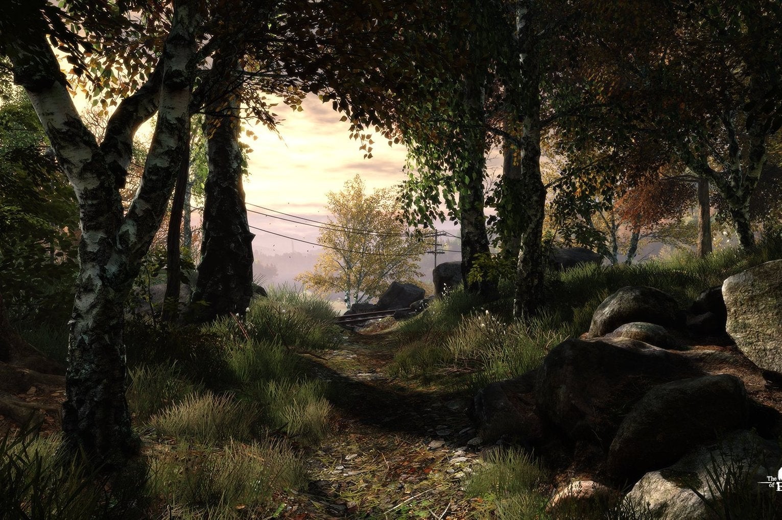 Image for The Vanishing of Ethan Carter appears in gorgeous new trailer