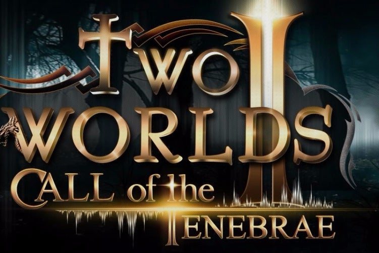 Image for TopWare responds to Two Worlds 2's sudden microtransactions update seven years after launch