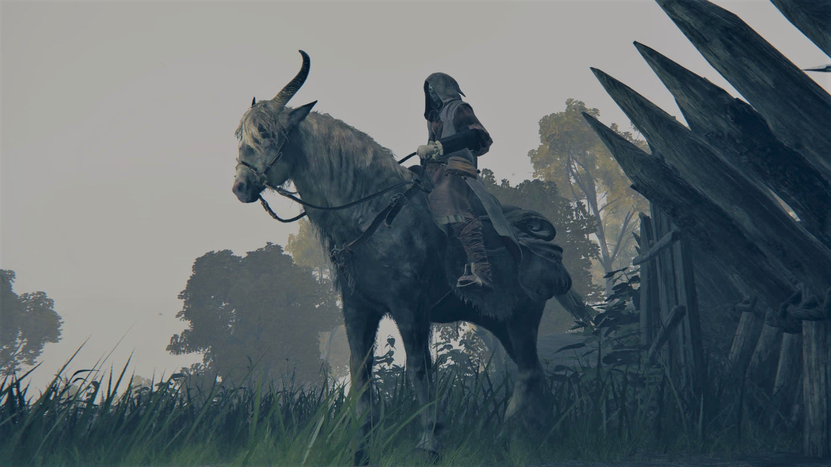 What video games get wrong about horses - Vimarsana News