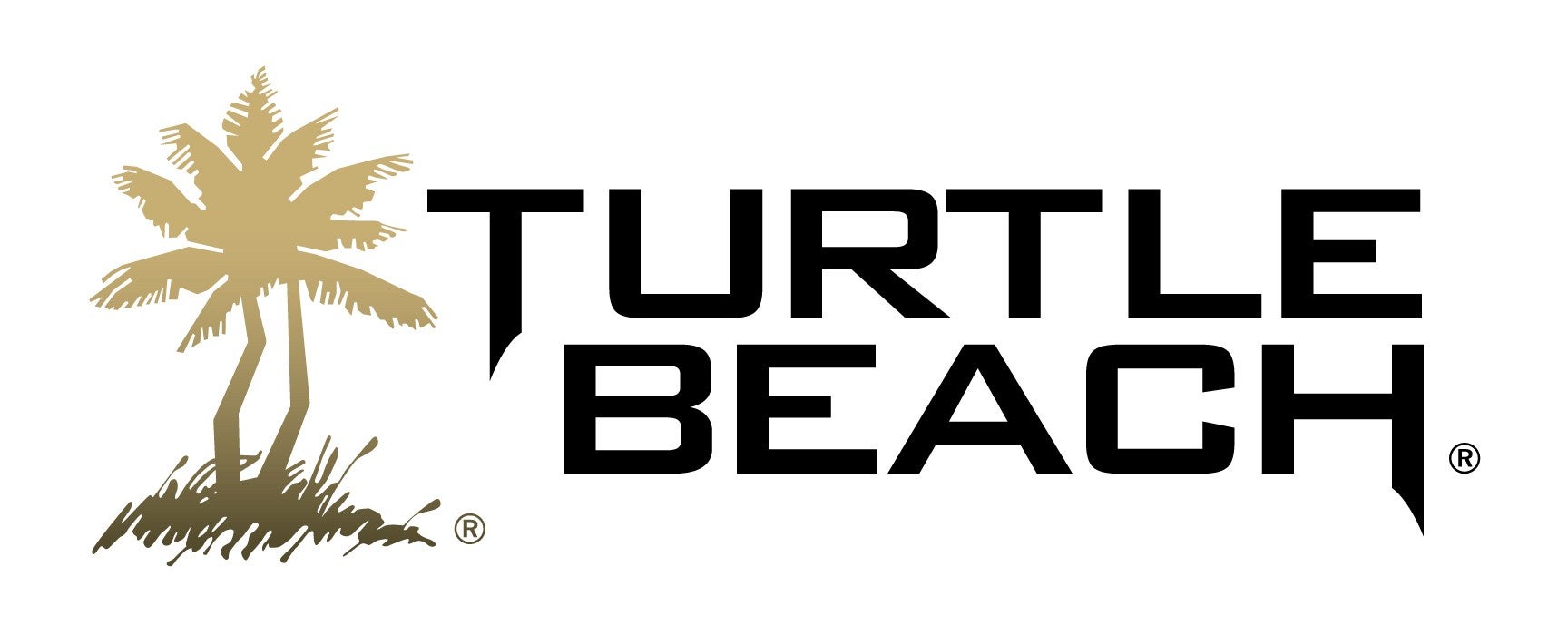 Image for Turtle Beach acquires PC peripherals company Roccat