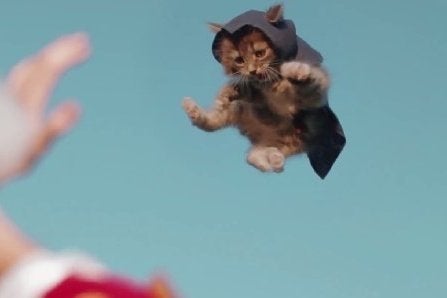 Image for Watch Assassin's Creed recreated with cats