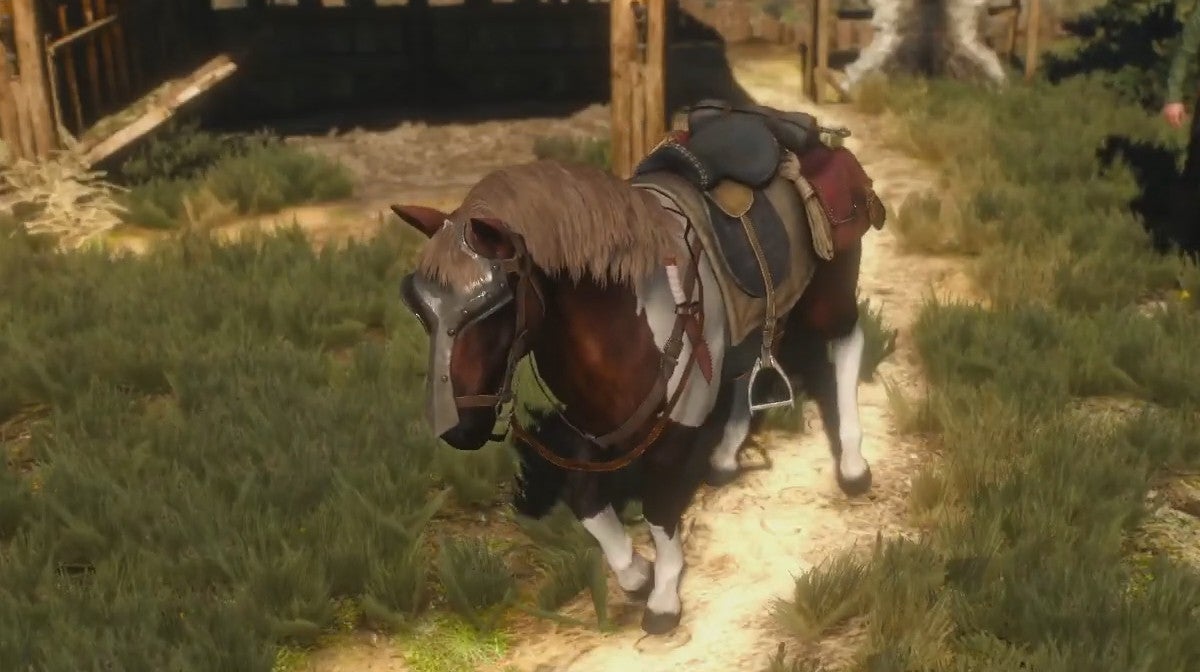 Obrazki dla Personalizowana Płotka w Wiedźminie 3 – nowy mod dodaje handlarzy końmi