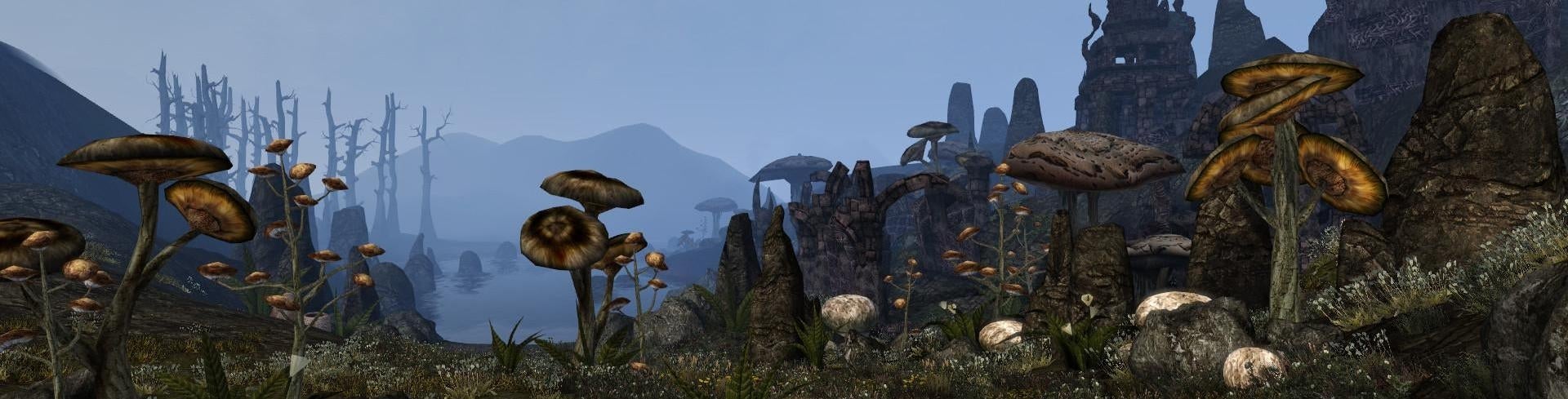 Afbeeldingen van Wijde Open Wereld - The Elder Scrolls 3: Morrowind