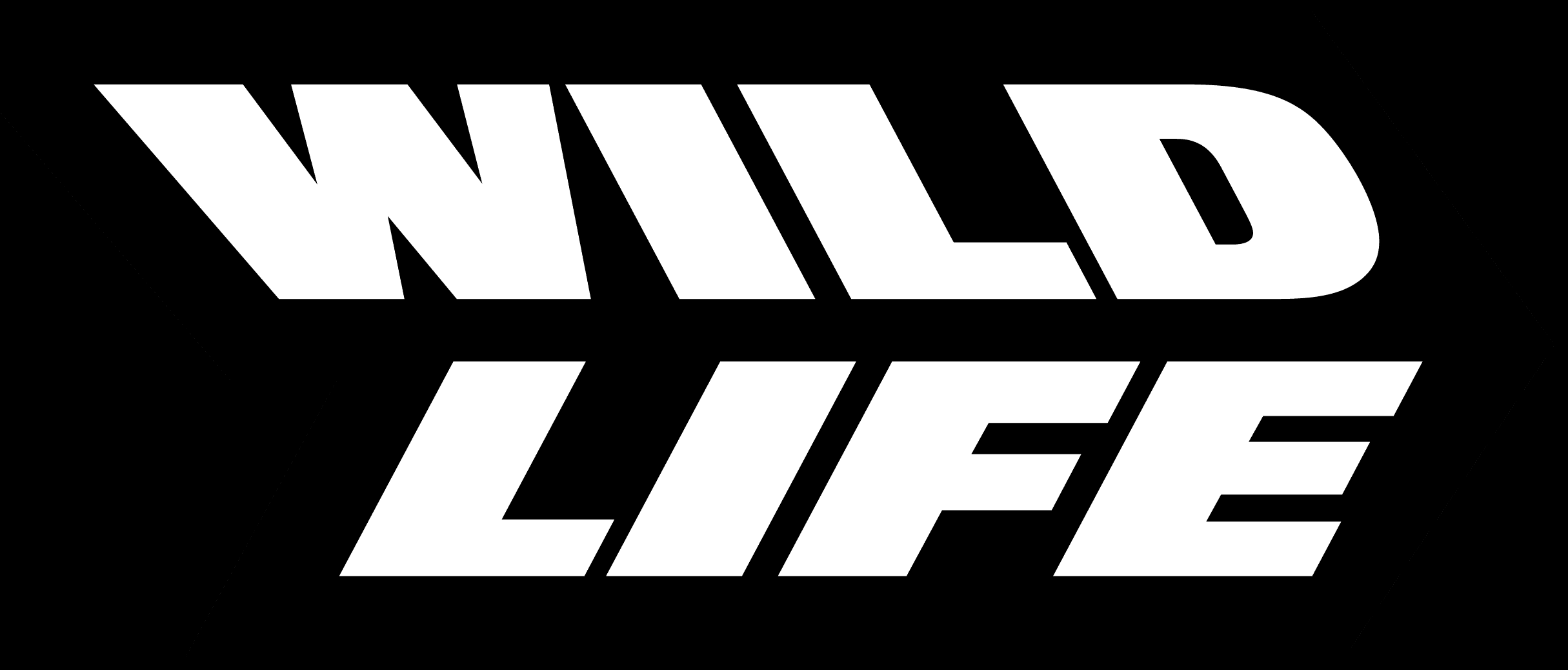 Wildlife adds Stellar Core Games to its developer lineup - Vimarsana News