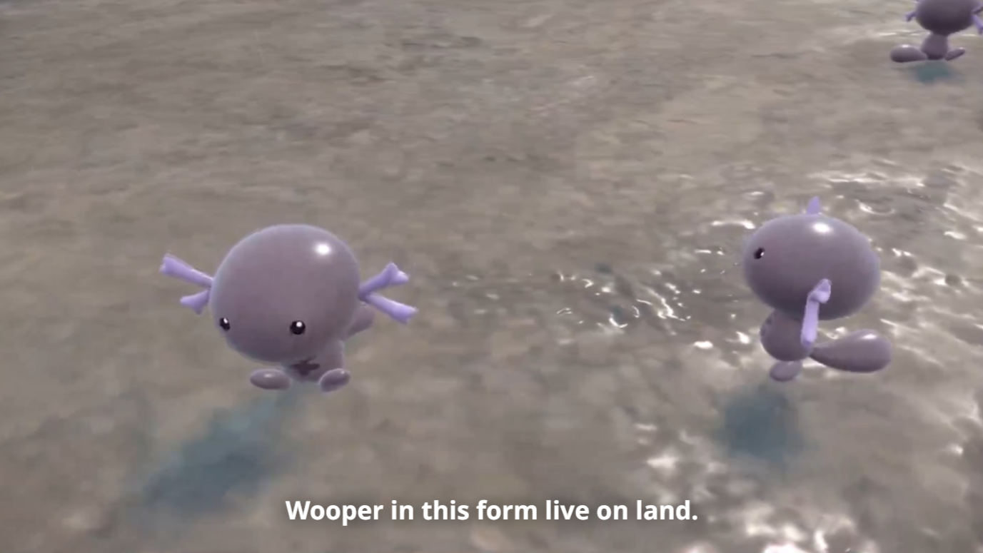Paldean Woopers in the wild