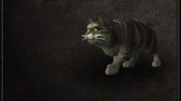 Image for World of Warcraft's mysterious missing void cat Jenafur finally found after year-long search