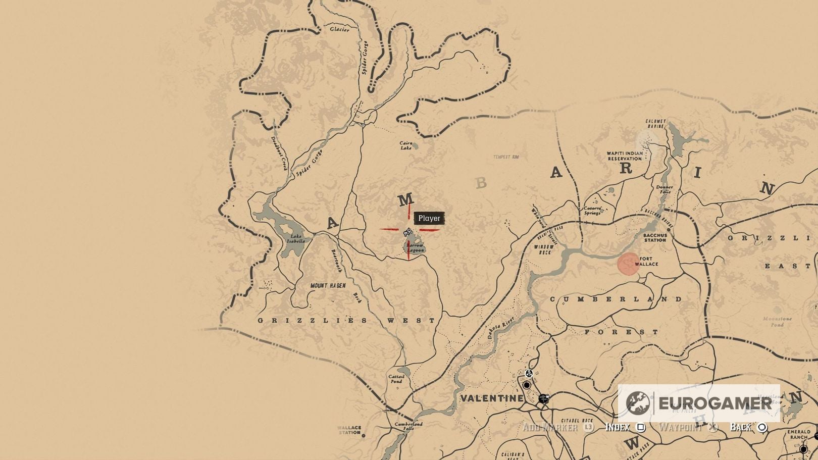 Red Dead Redemption 2 World Champions Cigarette Cards locations - 91