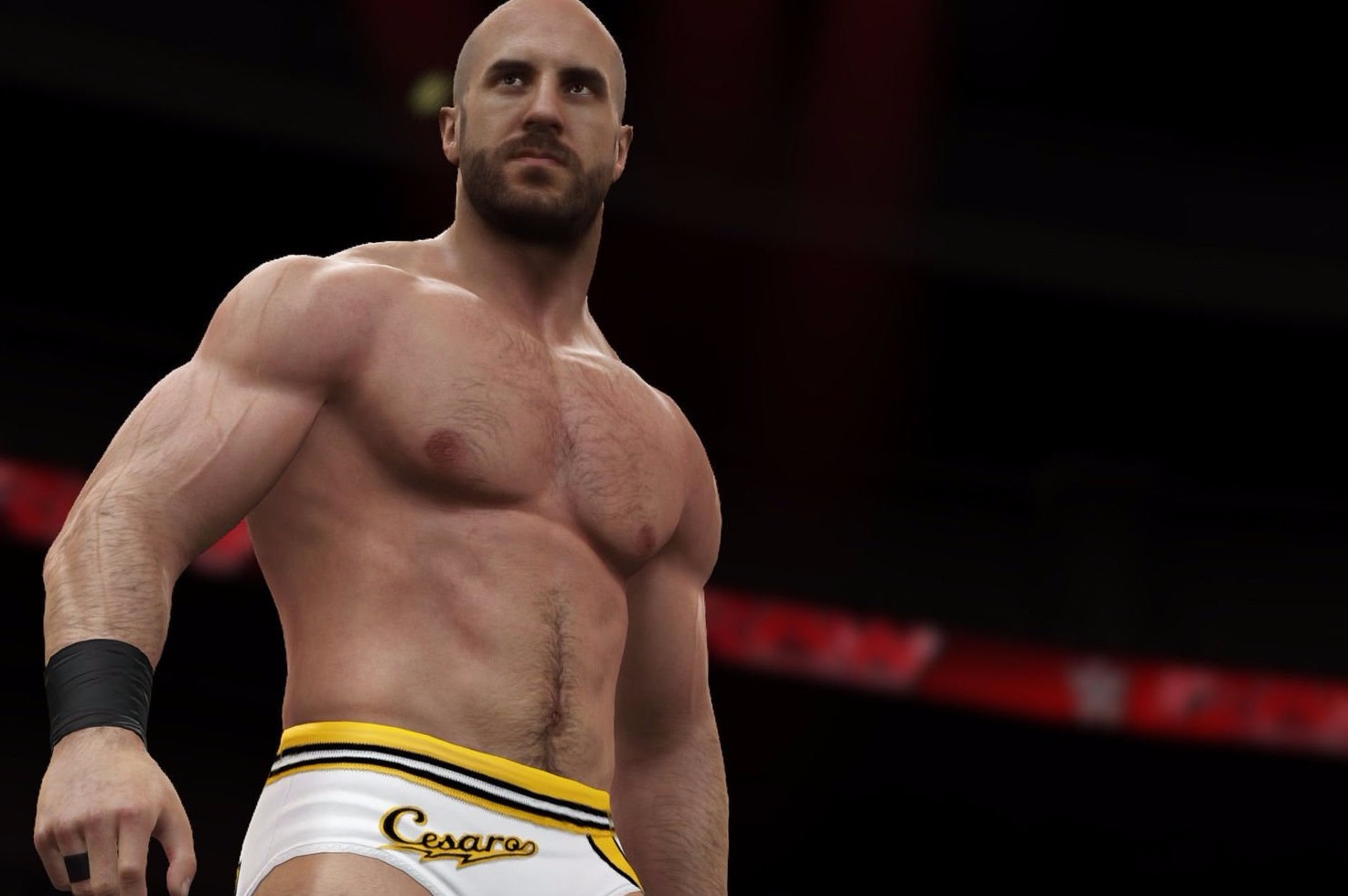wrestling simulator pc free 2015 wrestling simulator pc free 2015