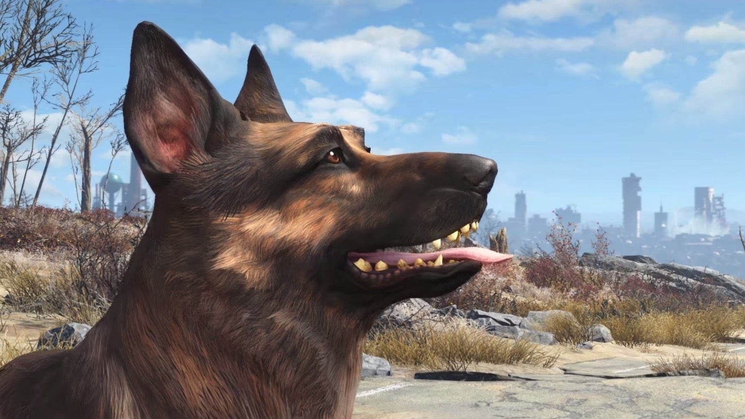 Obrazki dla Zmarł pies, który był inspiracją dla Ochłapa z Fallout 4